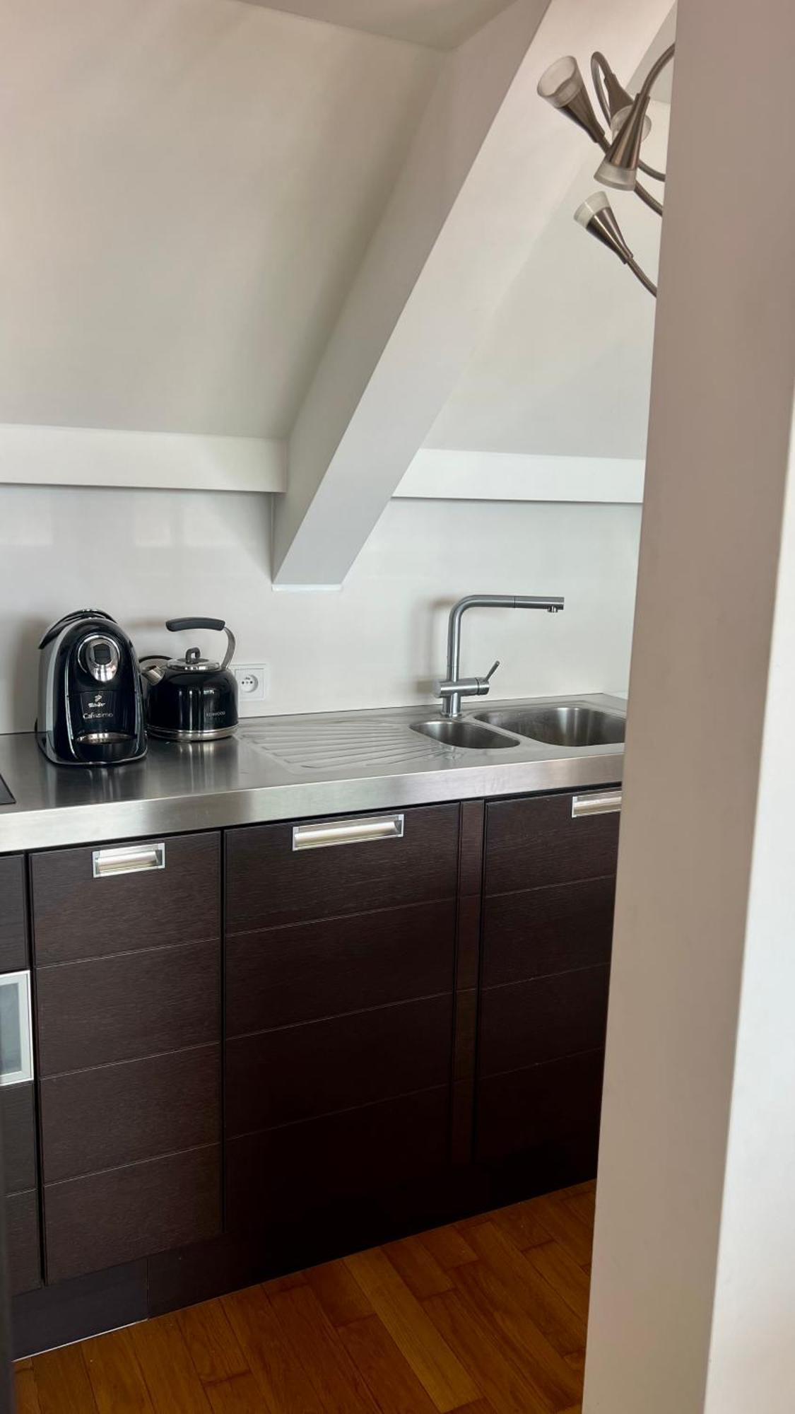 Apartman Se Saunou A Terasou S Vyhledem Na Brno Exterior foto